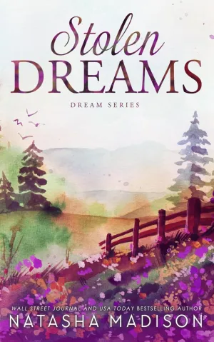 Stolen Dreams: A single dad, workplace, enemies to lovers, age gap romance (Dream Series Book 4) Paperback  May 5, 2025