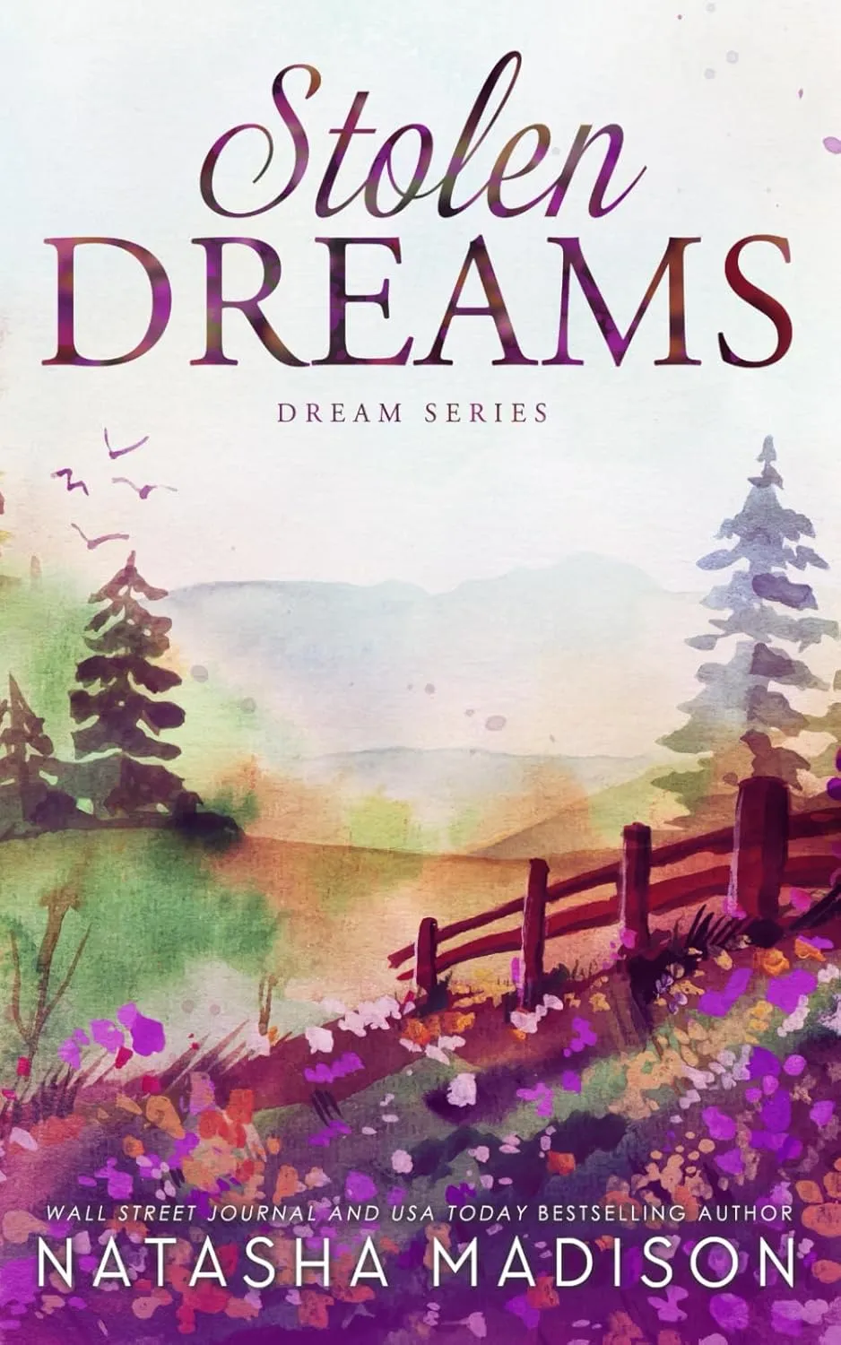 Stolen Dreams: A single dad, workplace, enemies to lovers, age gap romance (Dream Series Book 4) Paperback  May 5, 2025